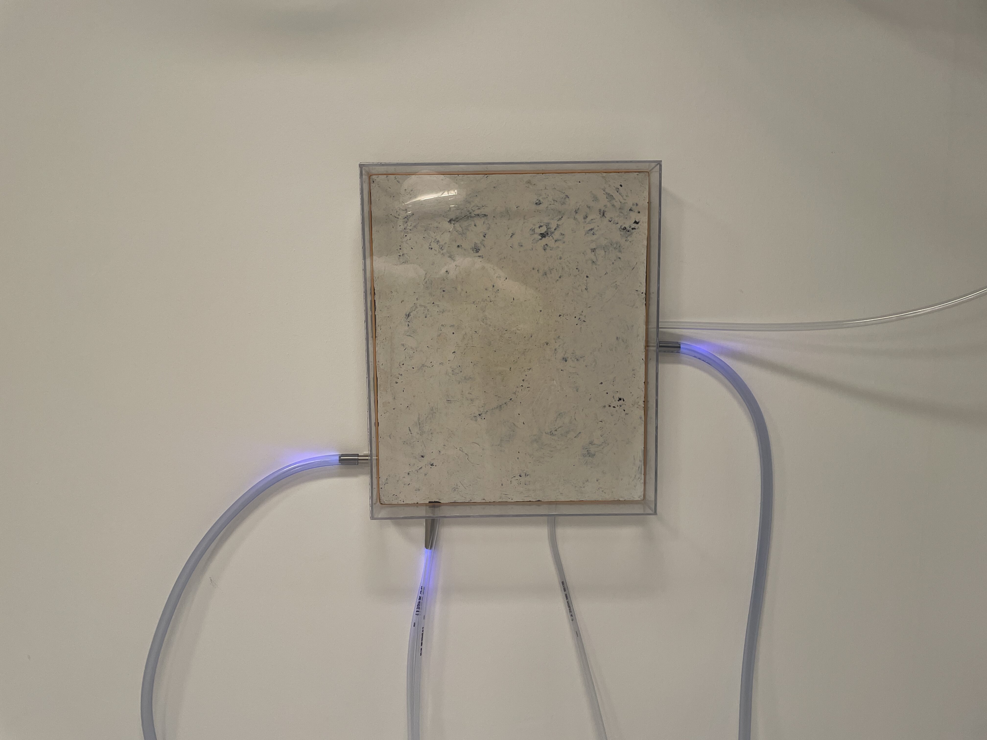 Œuvre AZ-5 du Manoirs 2021 — Laboratoire