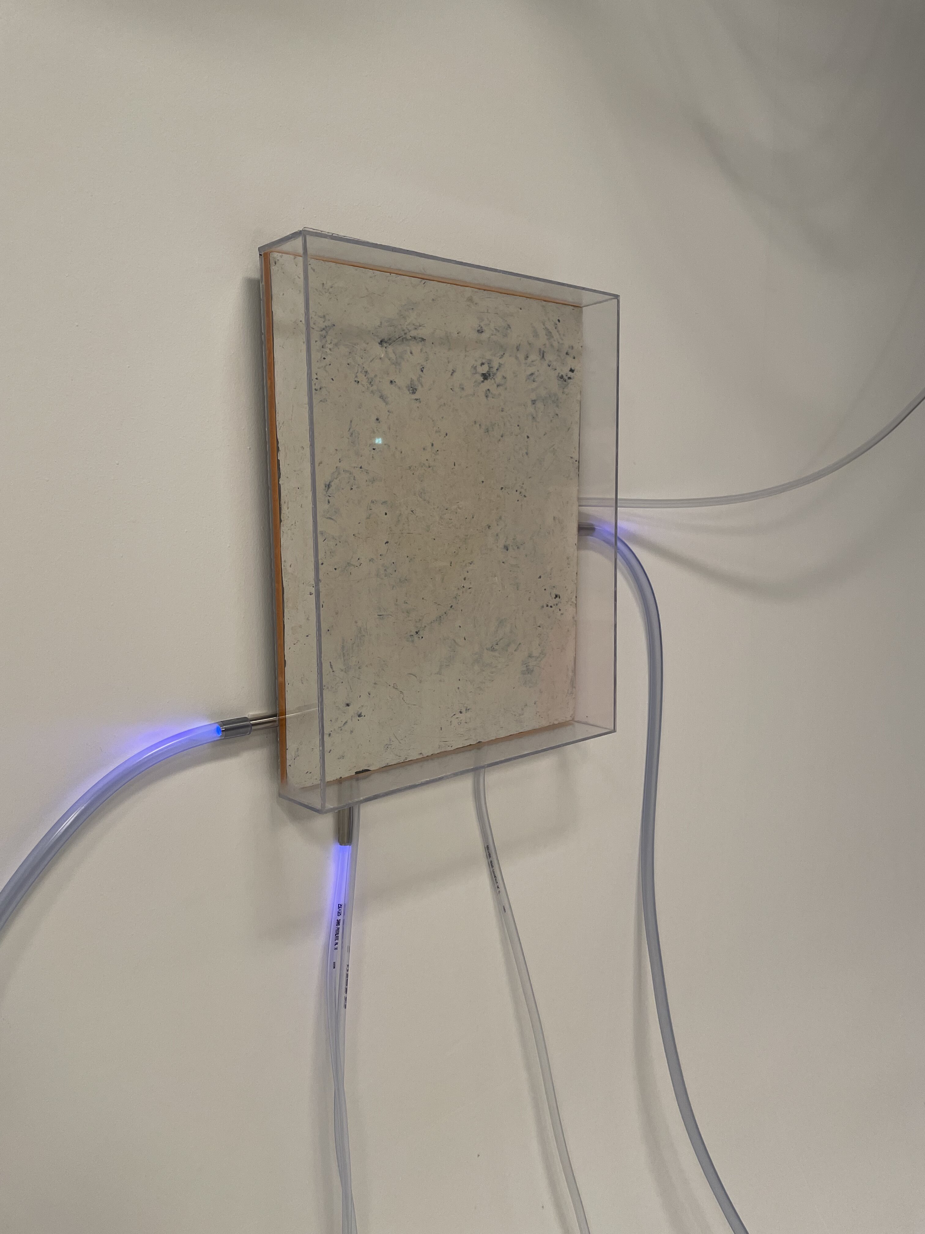 Œuvre AZ-5 du Manoirs 2021 — Laboratoire