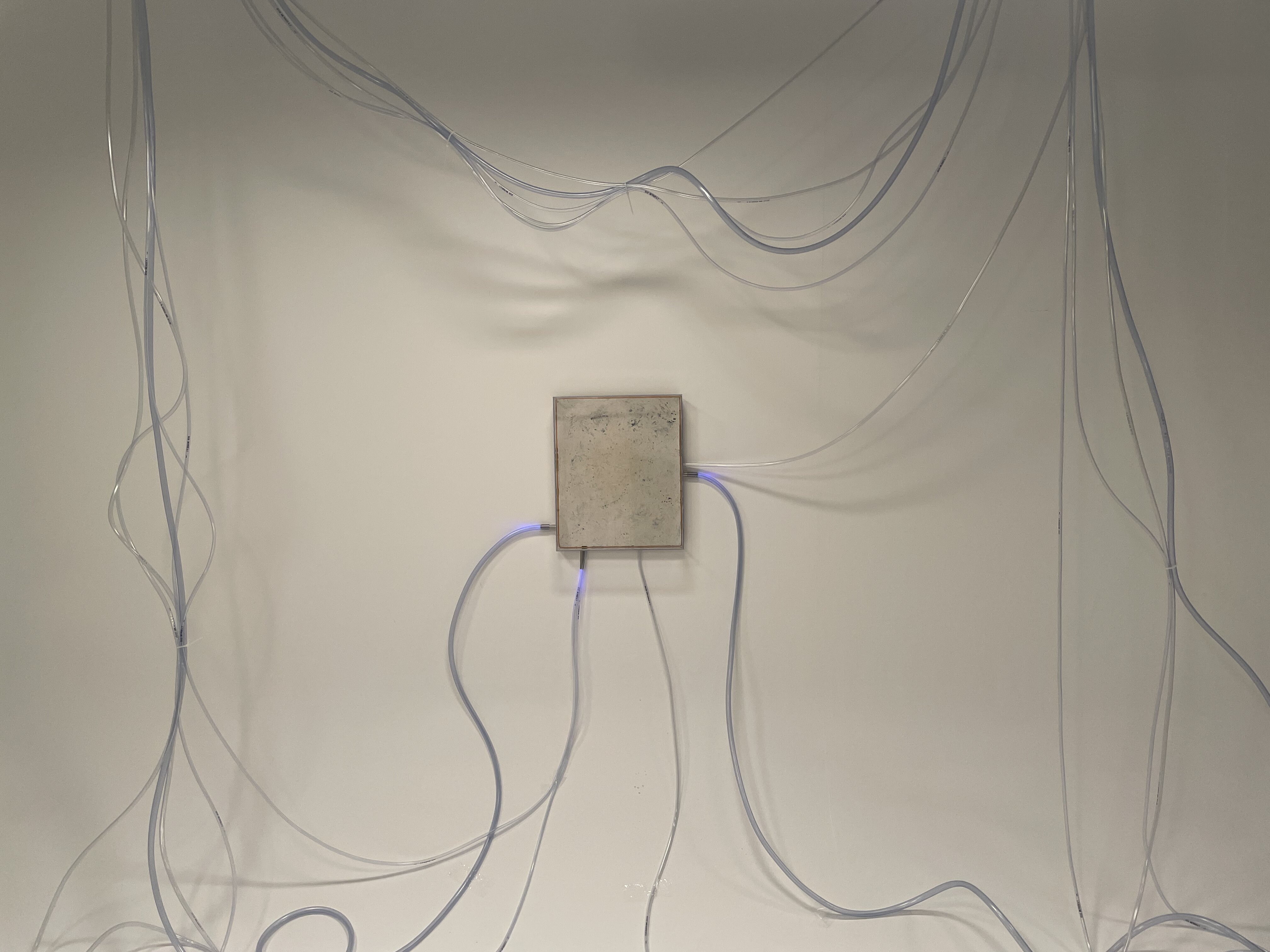 Œuvre AZ-5 du Manoirs 2021 — Laboratoire