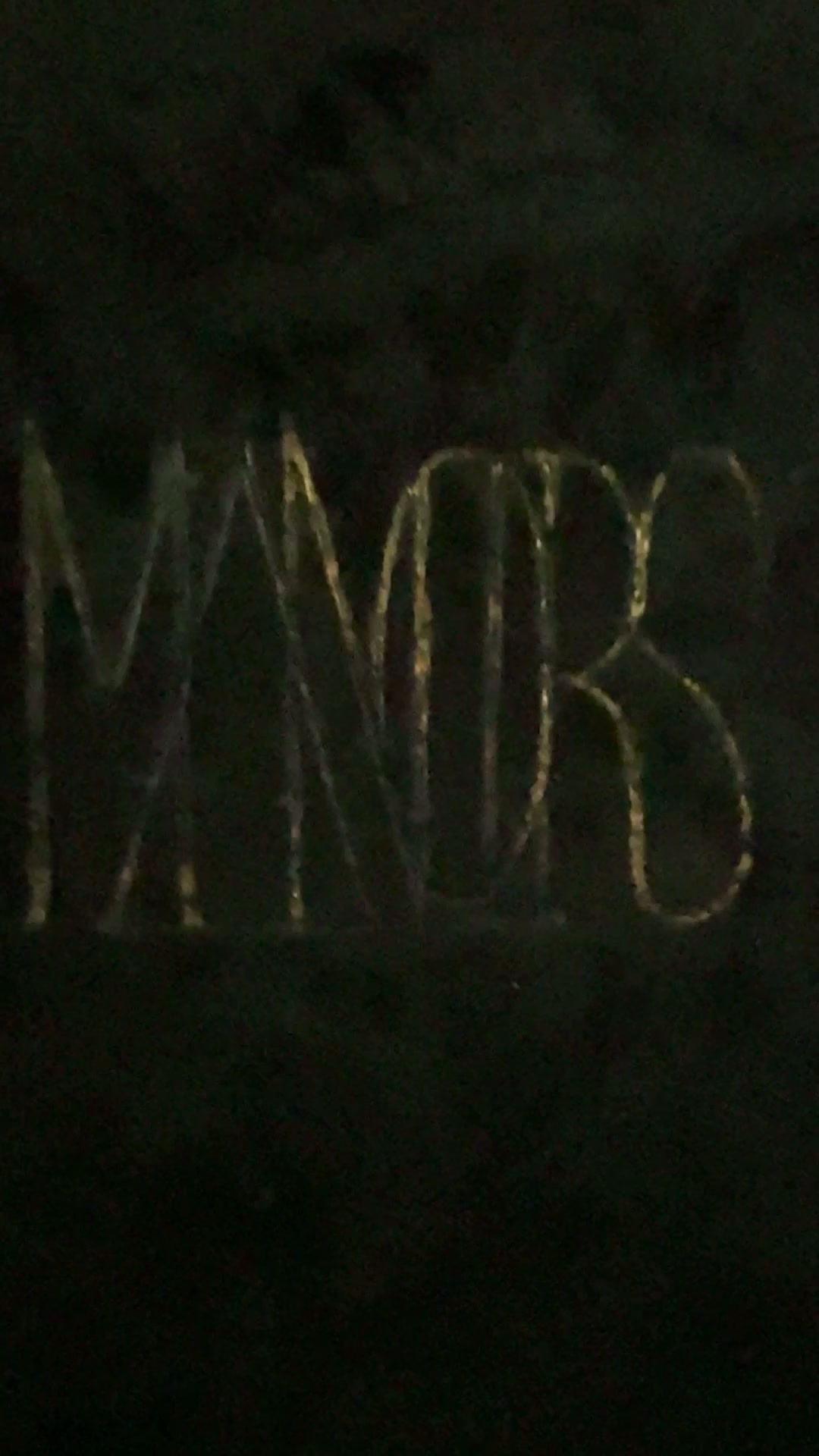 Œuvre les Loups du Manoirs 2025 — Showreel 