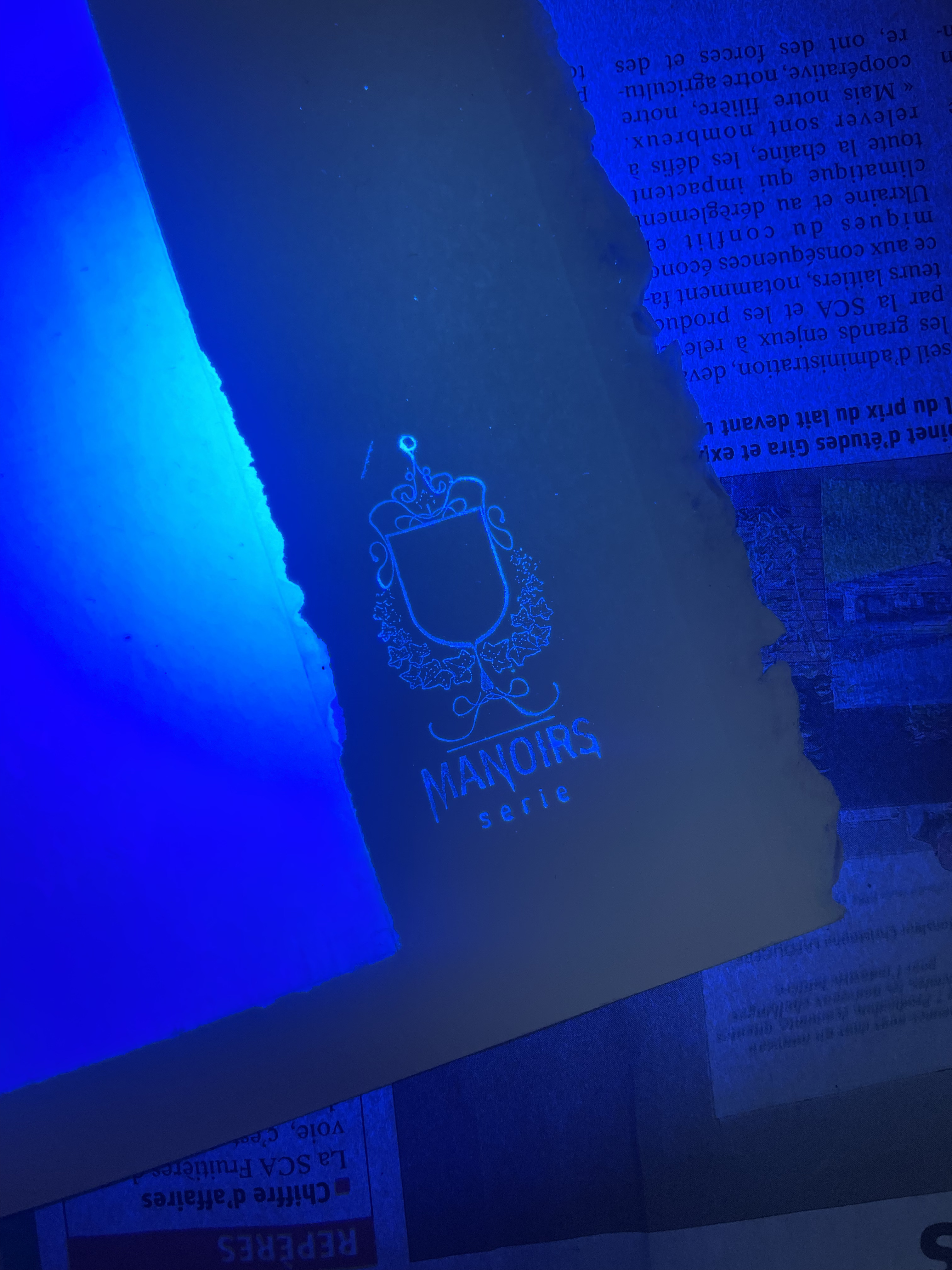 Œuvre Manoirs Mont-Blanc 2024 — Sceau du Manoirs